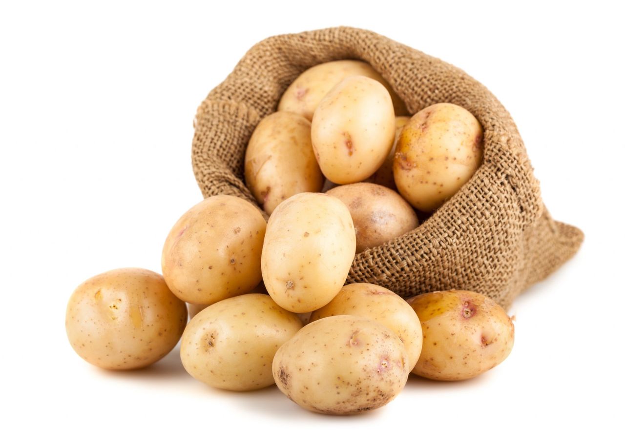 картофель на белом фоне